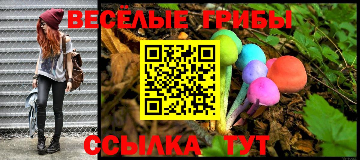 Нефтекумск  Псилоцибиновые грибы ЛСД  что такое наркотик  Вход с VPN 